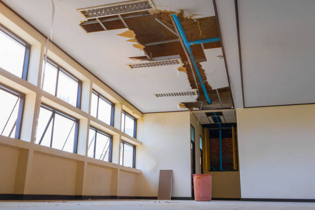 Best Water damage contractors near me  in Sloan, NY