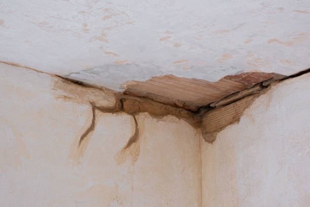 Best Professional water damage repair  in Sloan, NY