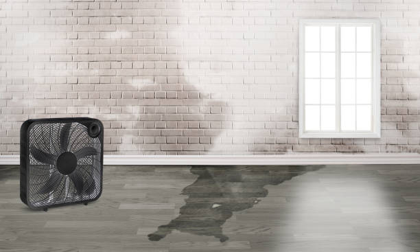 Best Water damage restoration insurance claims  in Sloan, NY