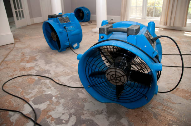 Carpet water damage restoration in Sloan, NY