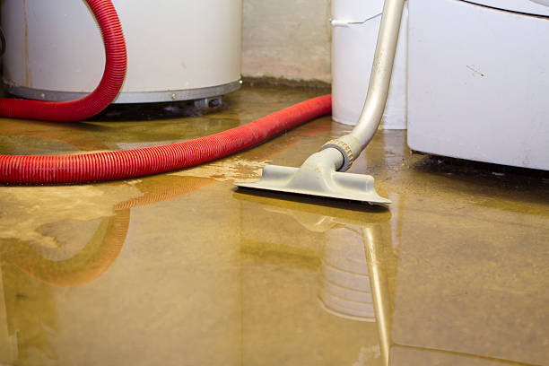 Best Water damage restoration cost  in Sloan, NY