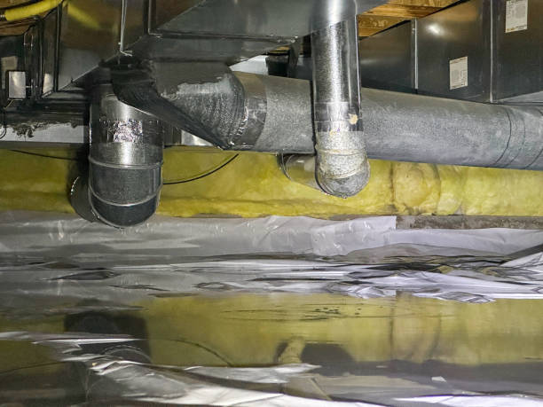 Best Local water damage restoration  in Sloan, NY