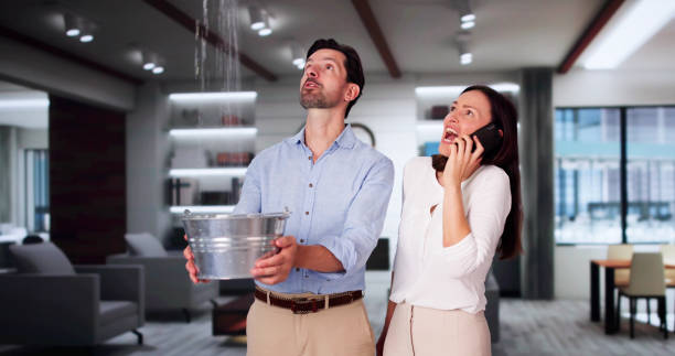 Best Basement water damage restoration  in Sloan, NY