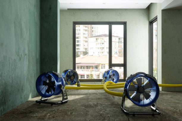 Professional Water damage restoration in Sloan, NY